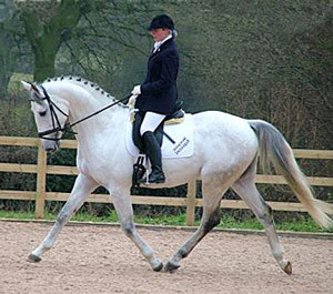 Lower anxiety can help a horse as much as the rider